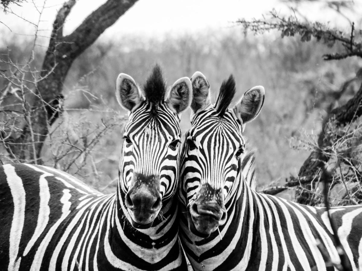 African Spirit Game Lodge Mkuze Kültér fotó
