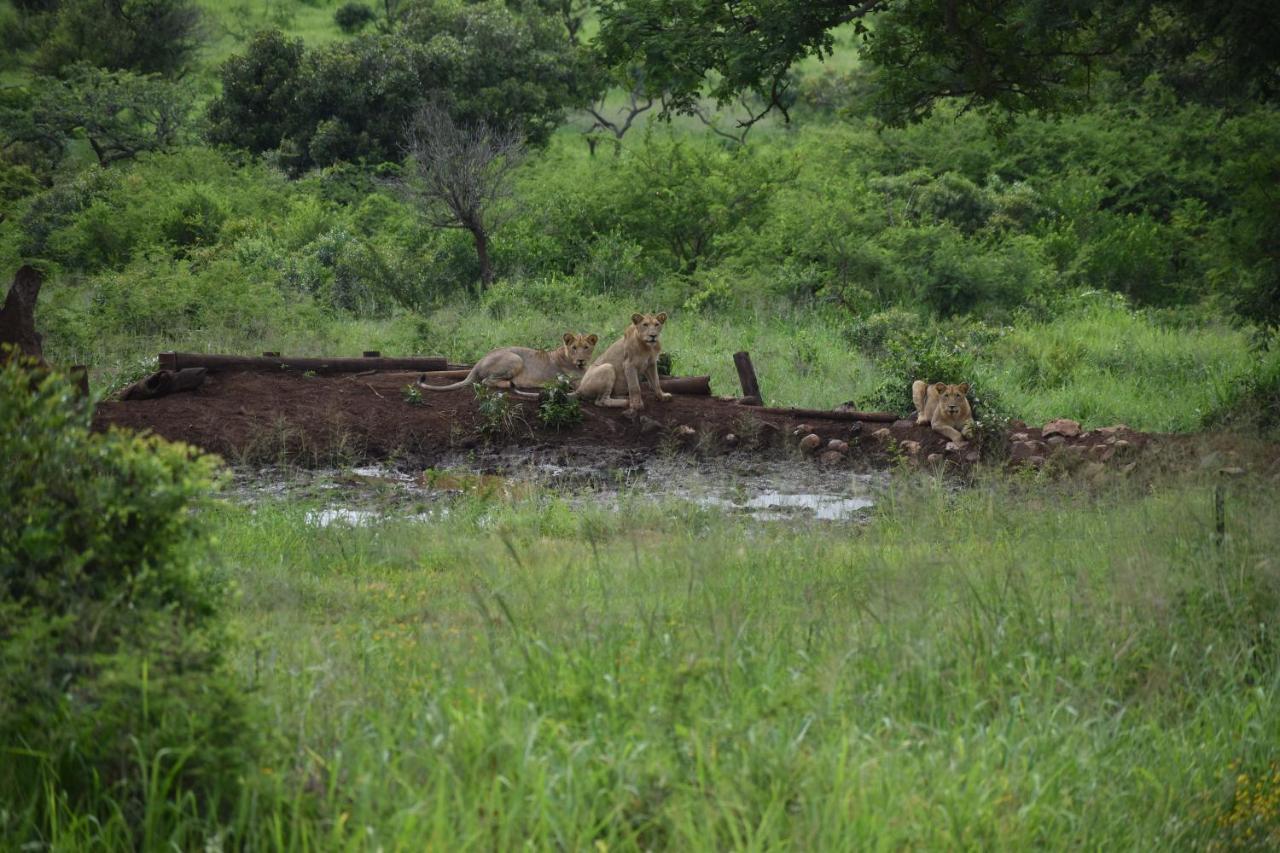 African Spirit Game Lodge Mkuze Kültér fotó